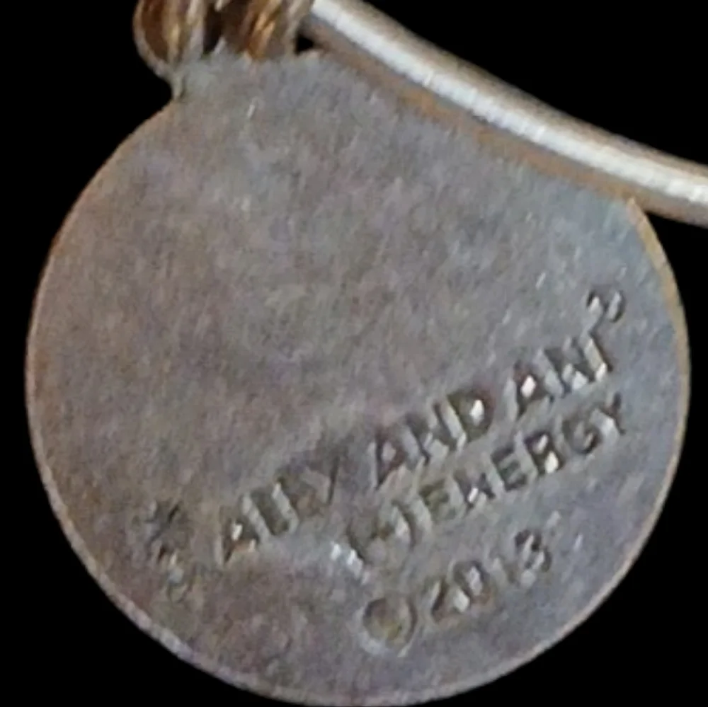 Alex and Ani - Silver Tone Wire Energy Infused Friend Charm Bracelet, Date 2013 - Picture 9 of 10